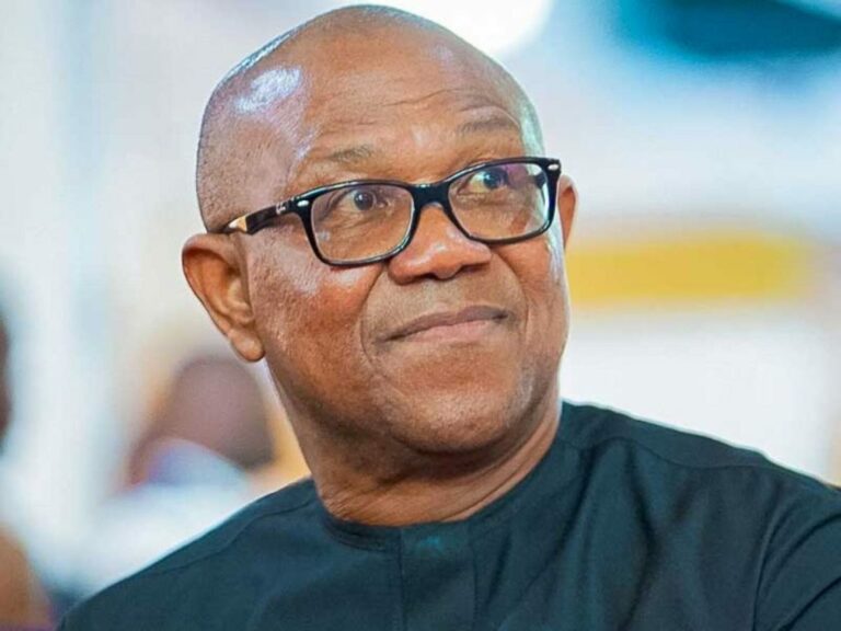Peter-Obi-2-1024x768-1-768x576